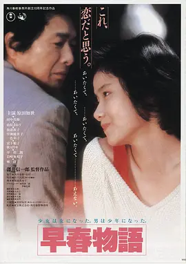 《长夜灯塔》剧集封面